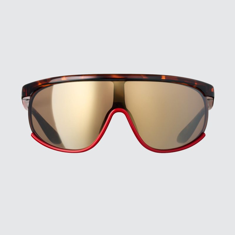 Солнцезащитные очки (щиток)